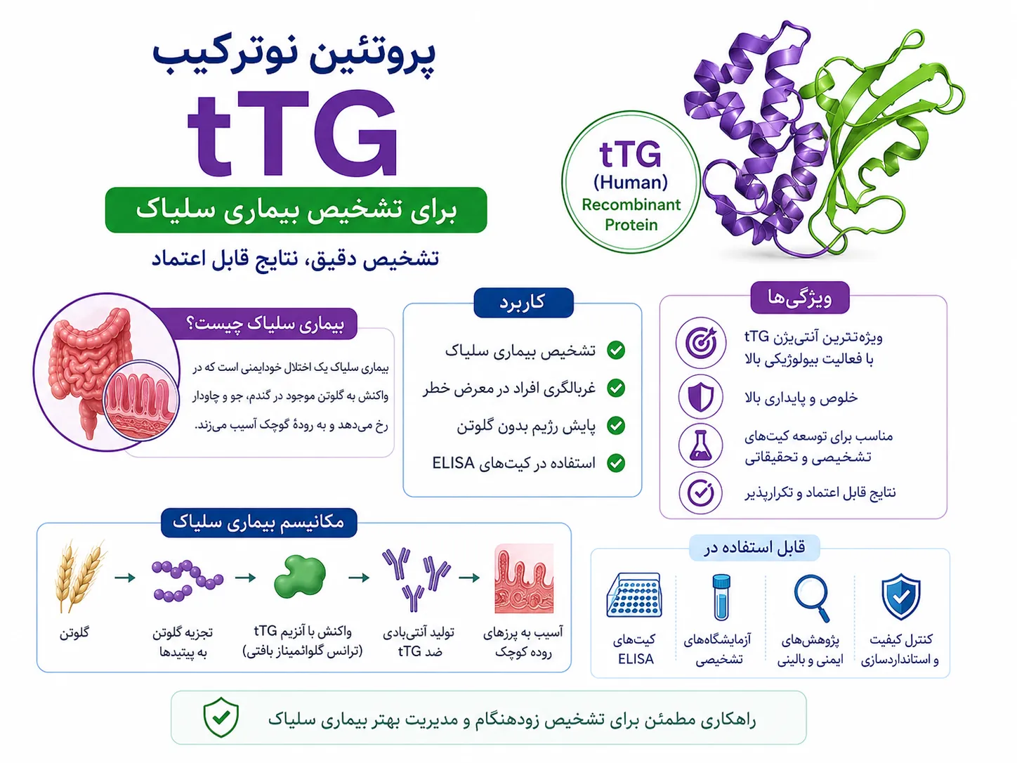 tTG