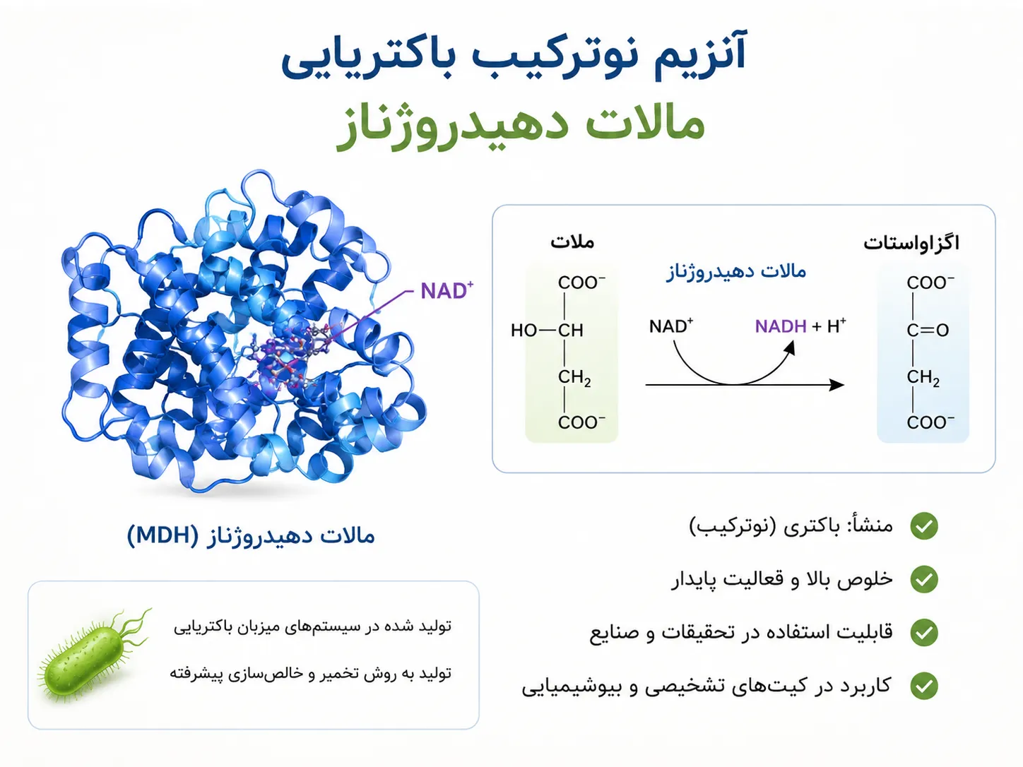 مالات دهیدروژناز