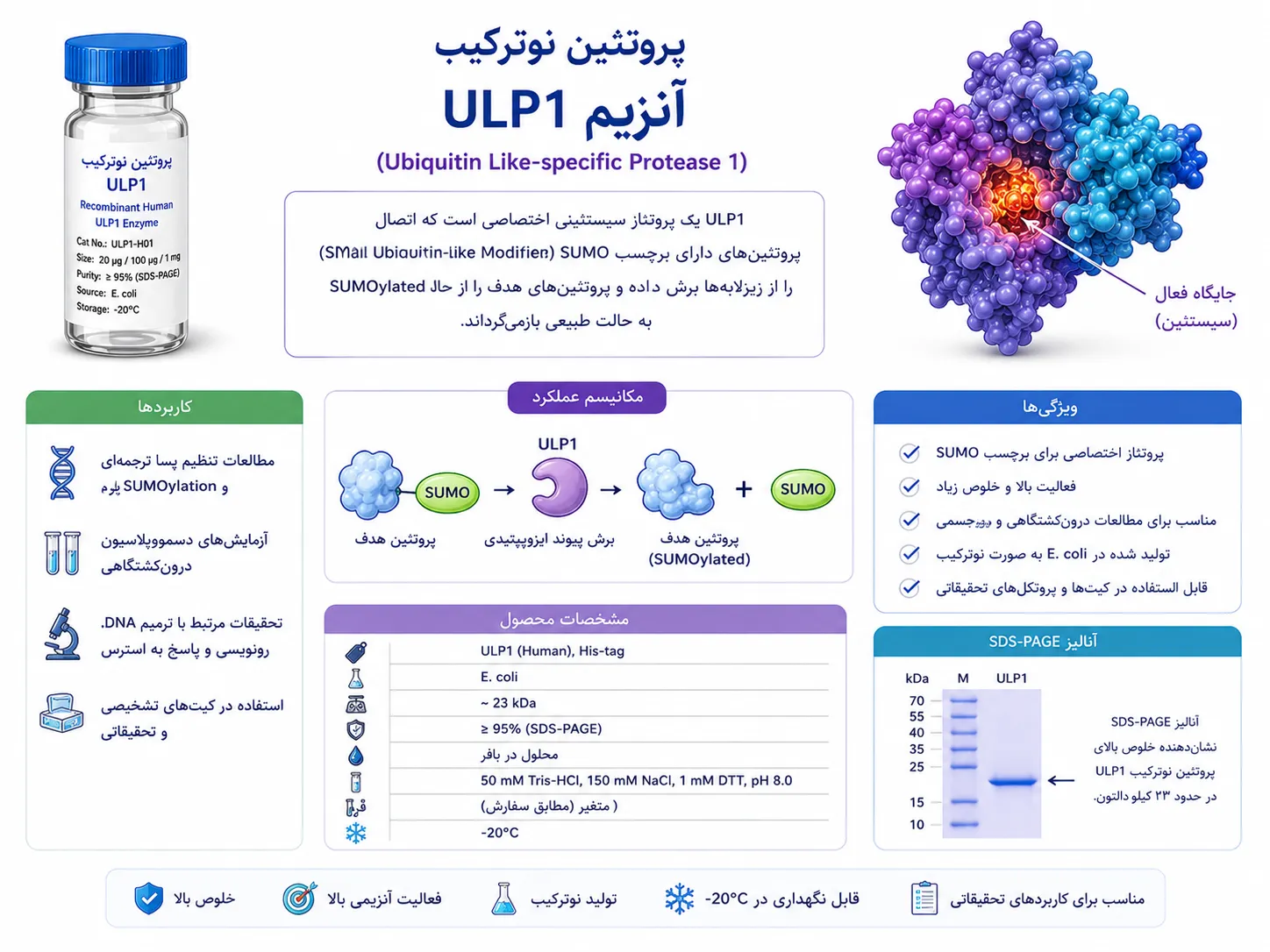 ULP1