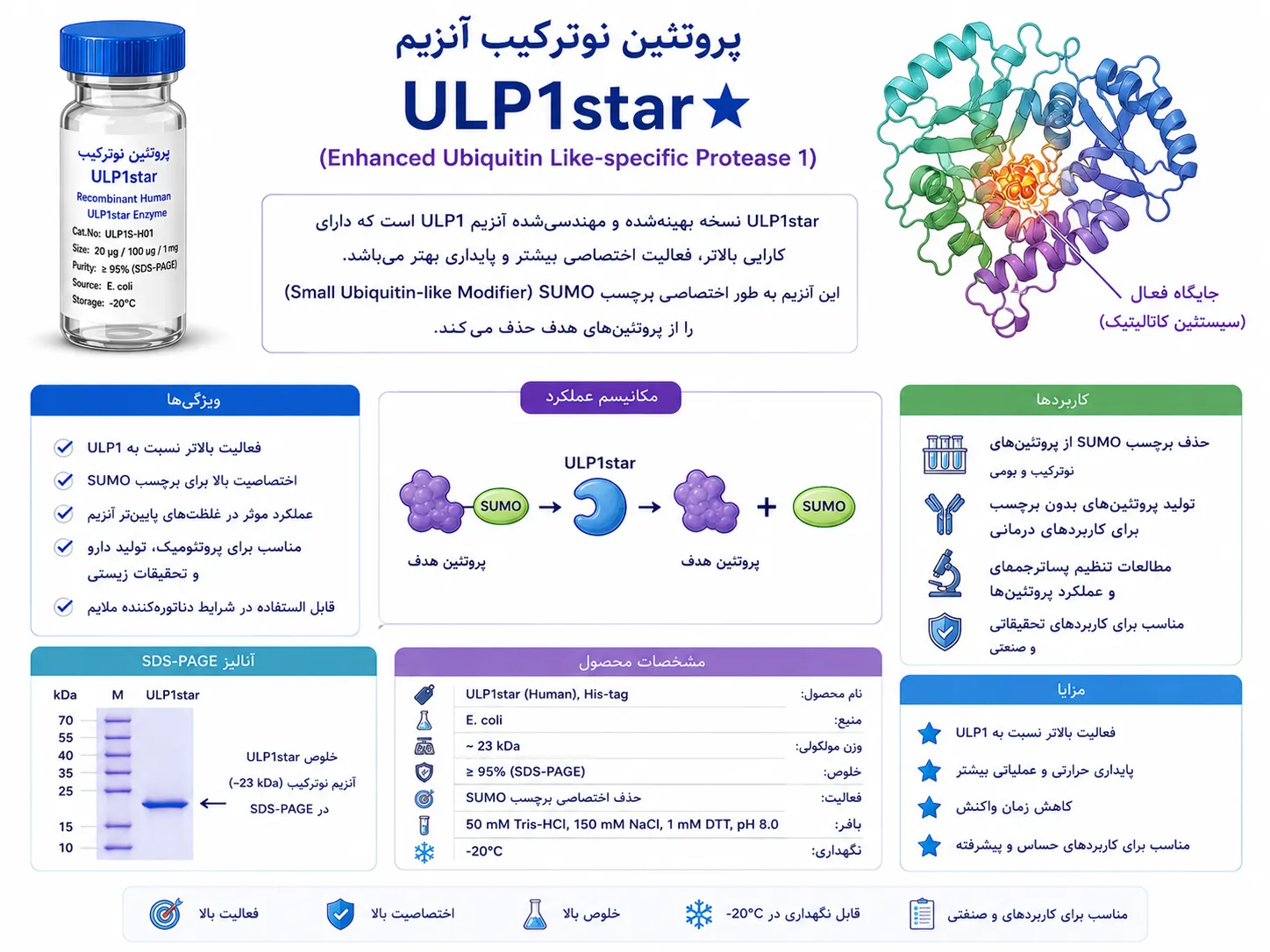 ULP1 Star