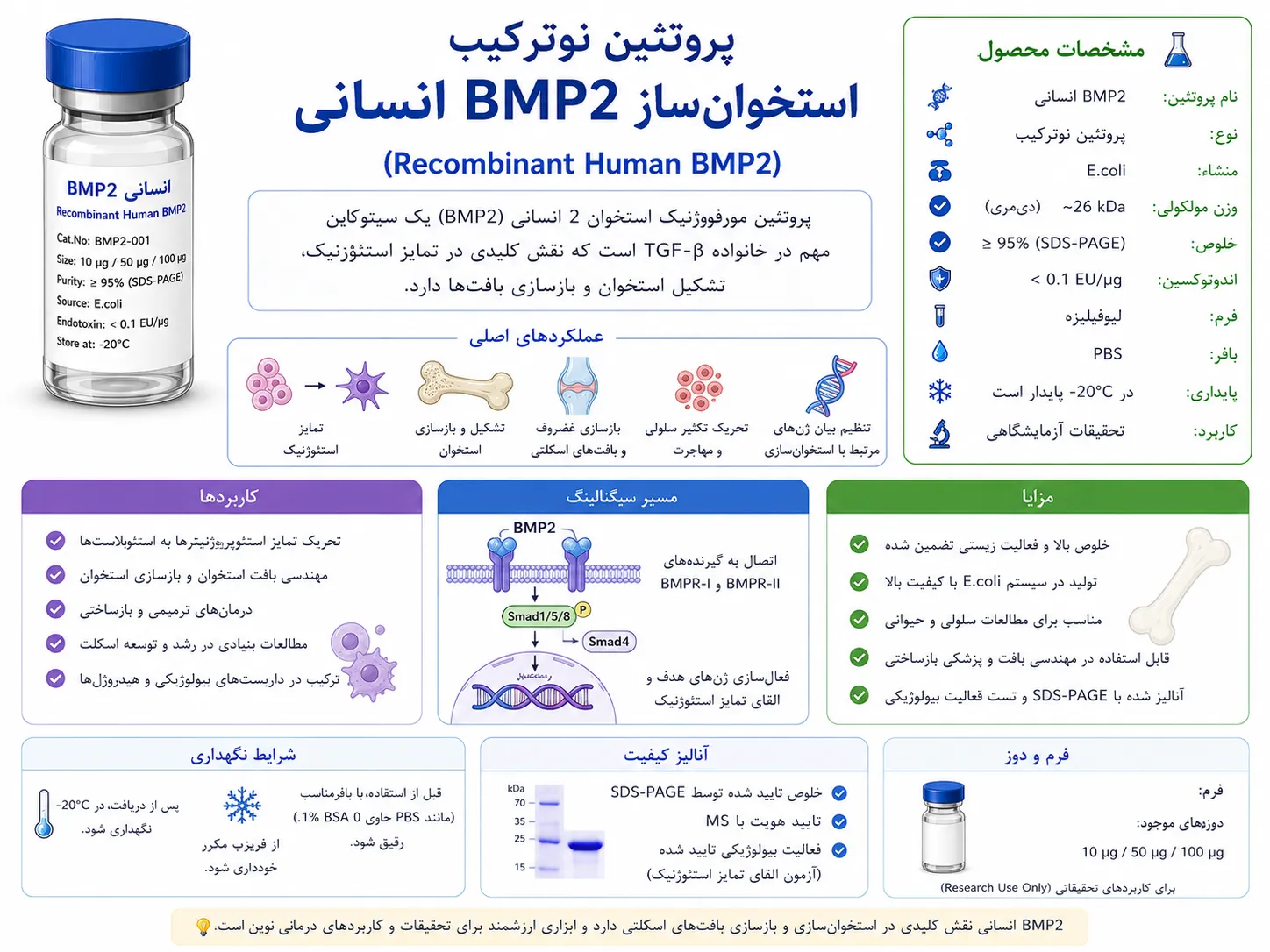 BMP2