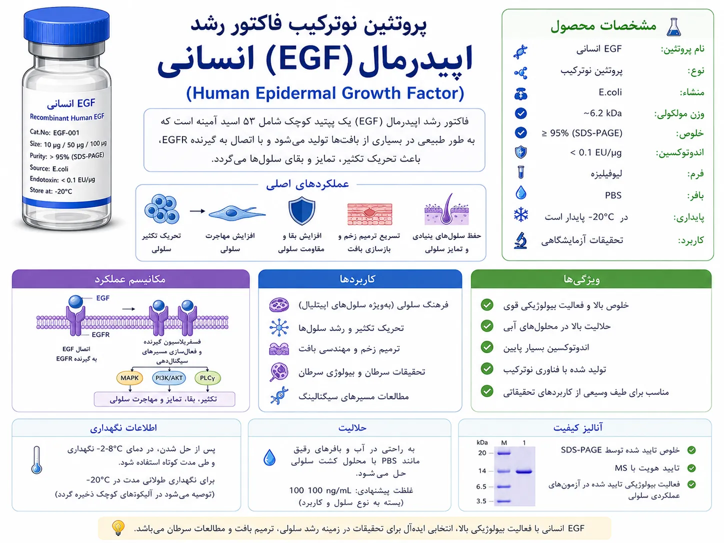 EGF