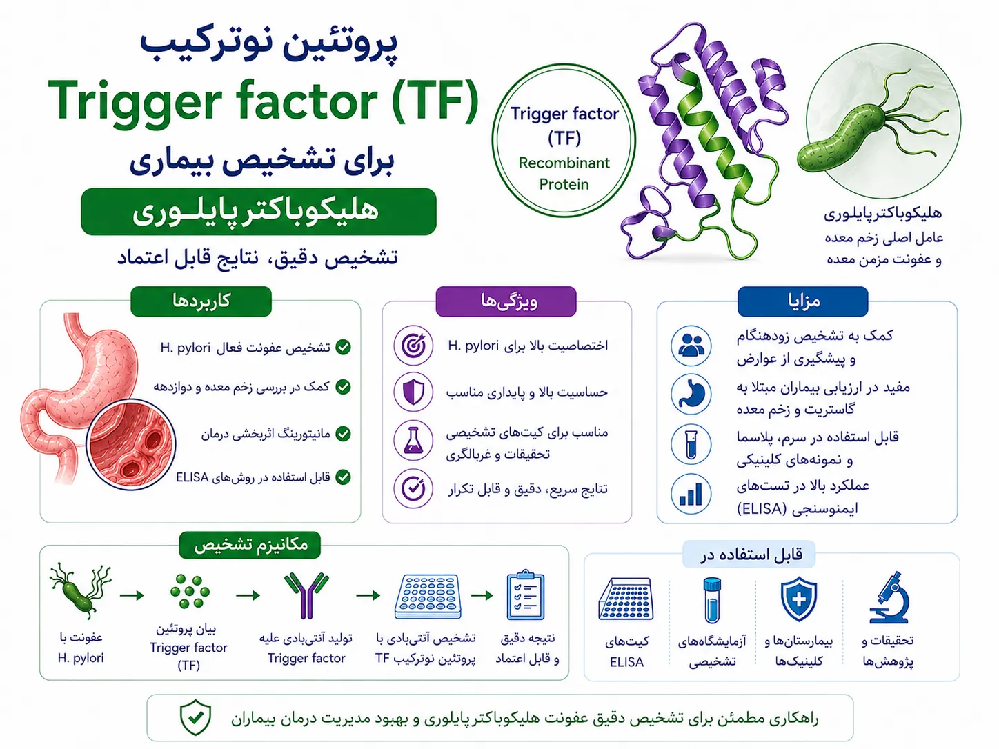 Trigger Factor