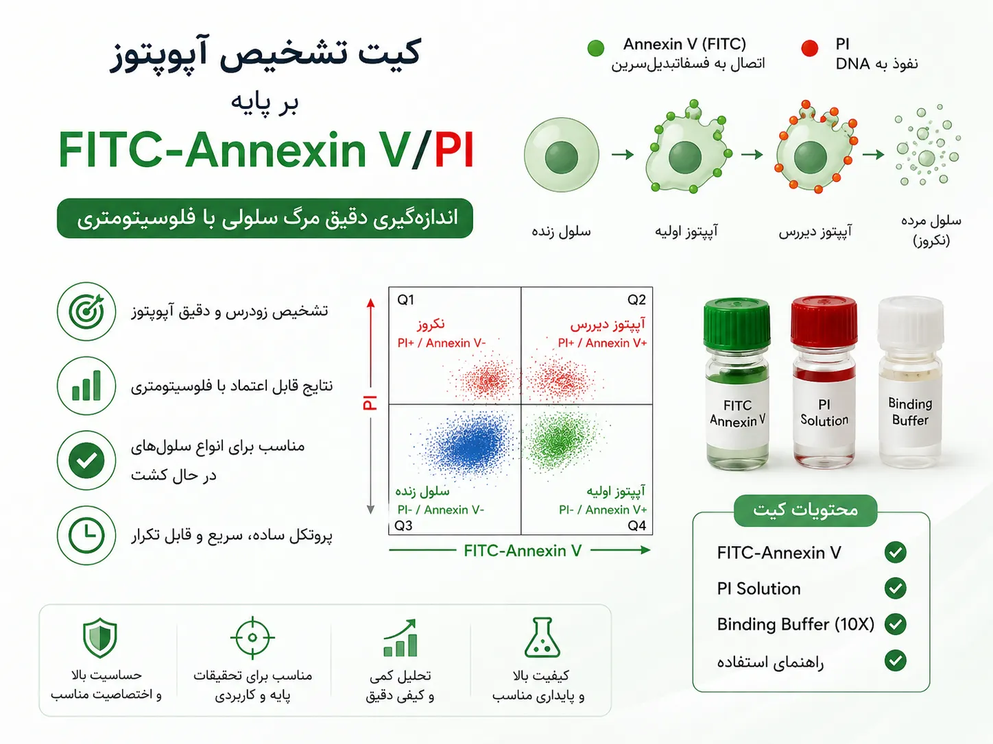 کیت آپوپتوز