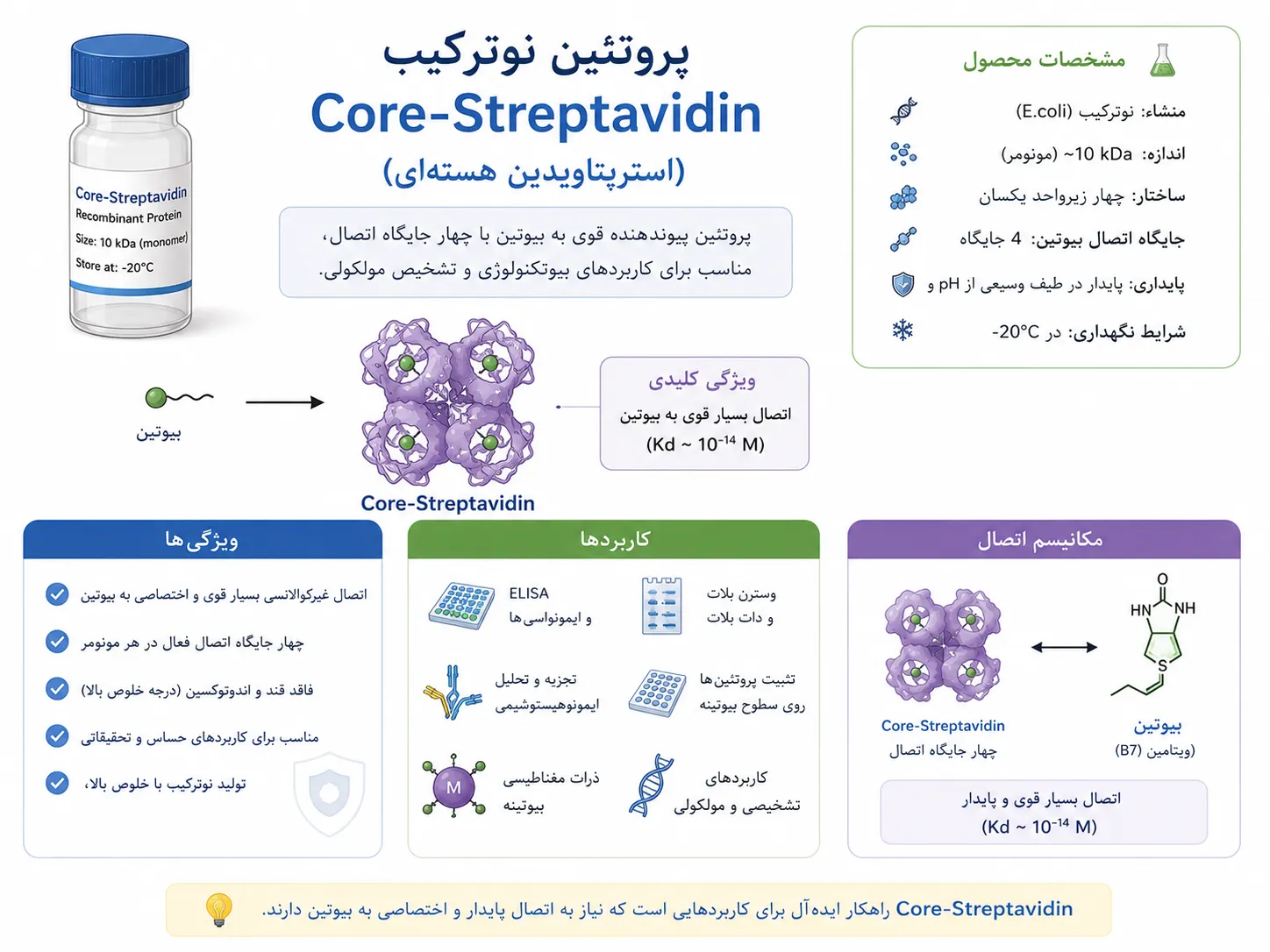 Core Streptavidin
